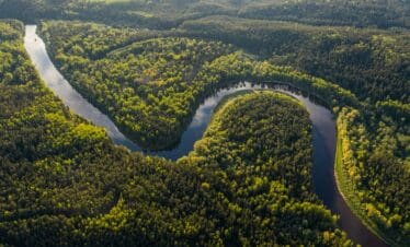 The Amazon Rainforest