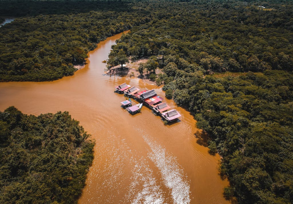The Amazon Rainforest