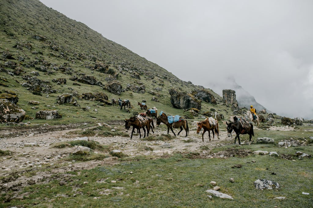 Salkantay trek day 3
